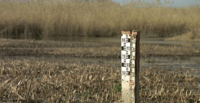 El sector turístico echa el cierre en las Tablas de Daimiel ante el lamentable estado de conservación del humedal