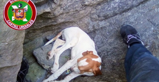 Bomberos de Castro rescatan a un perro caído en el acantilado de Allendelagua