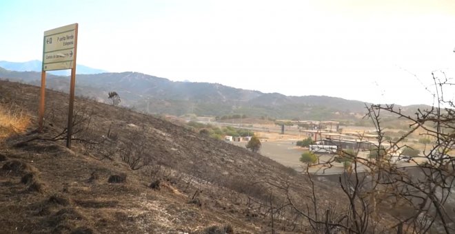El incendio forestal de Sierra Bermeja afecta ya a unas 3.600 hectáreas
