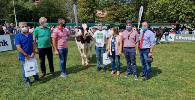 Blanco destaca al ganado frisón como "una de las razas más emblemáticas de Cantabria"