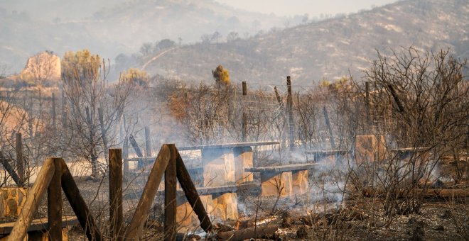 Llegan los primeros medios aéreos para sofocar el incendio de Málaga con más de 3.600 hectáreas quemadas