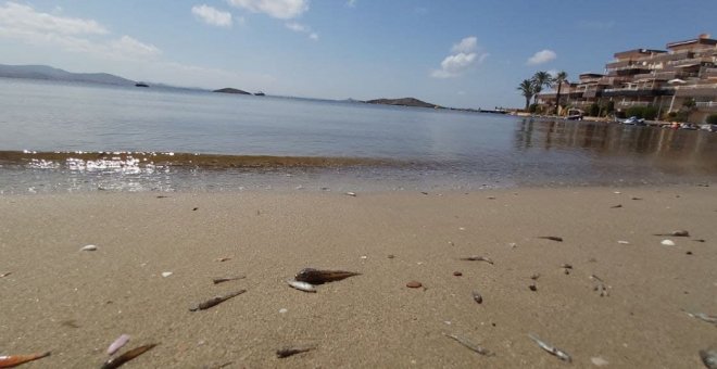 Ecologistas denuncian que el Mar Menor está en peligro de desaparición