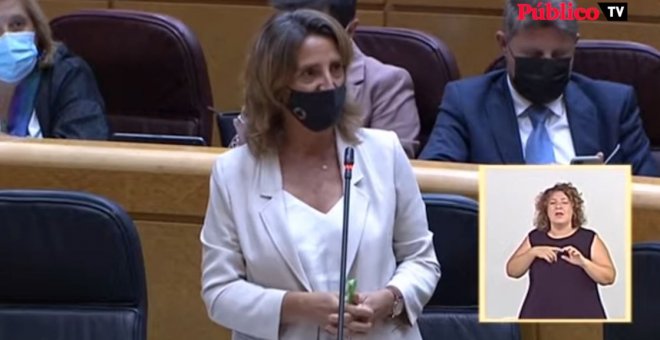 Teresa Ribera reprocha al PP su "cinismo" con el problema del Mar Menor