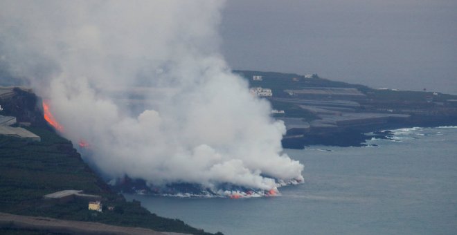 Así serán los efectos de la caída de la lava al agua para la vida marina de La Palma