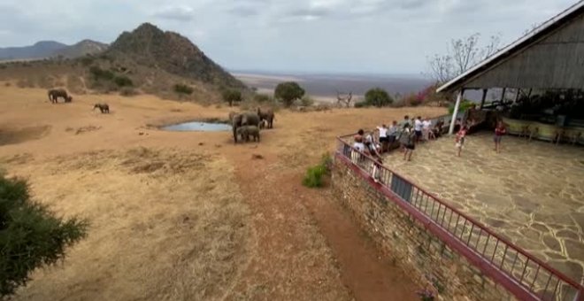 Kenia busca sobreponerse al batacazo del sector turístico causado por la pandemia