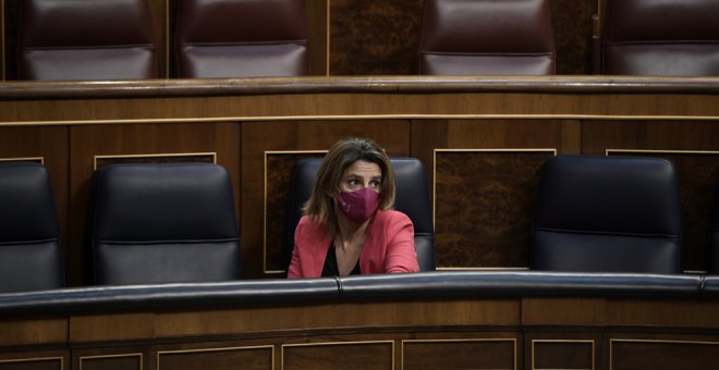 El Parlamento de Cantabria pide la dimisión de la ministra Ribera por el lobo