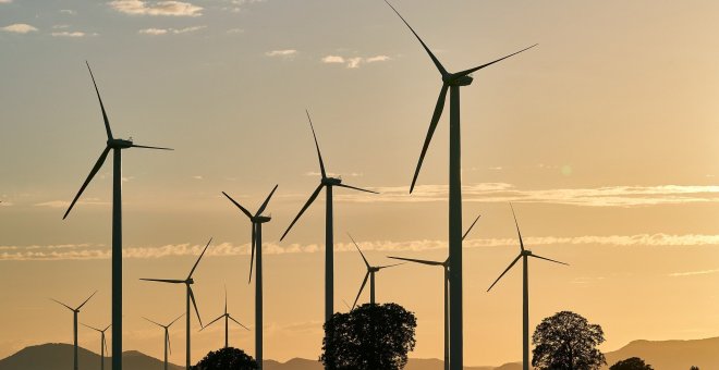 La energía eólica y fotovoltaica estuvieron más de la mitad del domingo sin producir tras las medidas del Gobierno