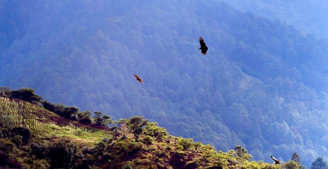 La ONU reconoce que vivir en un medio ambiente limpio es un derecho humano