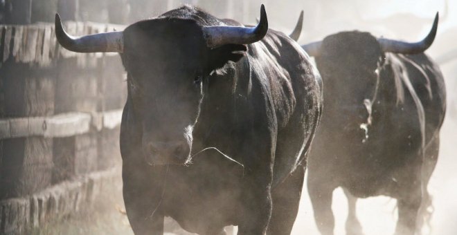 Muere un trabajador de una explotación ganadera arrollado por un toro en Ucieda