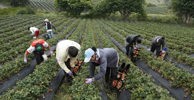 La "mujer comodín" se extiende por el sector agrario