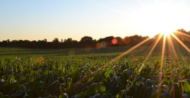 Castilla-La Mancha abona este lunes 334 millones del anticipo de la PAC a 90.000 agricultores y ganaderos