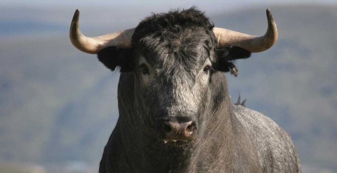 La tauromaquia sí es cultura