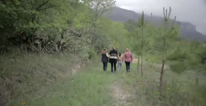 Una abuela mexicana combate el cambio climático plantando más de un millón de árboles en una década