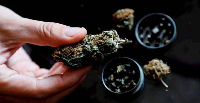 Encuesta | ¿Se debería legalizar el cannabis en España?