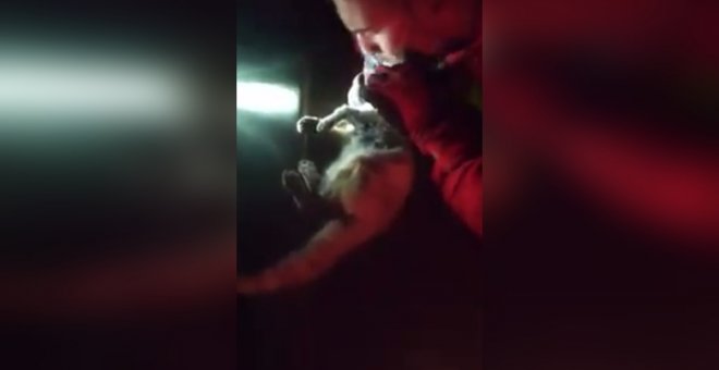 Un militar de la UME salva a un gato exhausto por las cenizas del volcán de La Palma