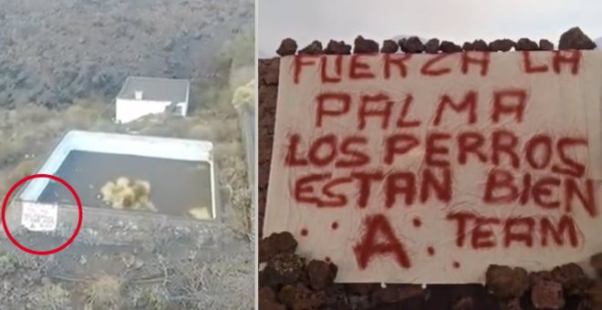 "Me encanta que los canes salgan bien": cachondeo con el supuesto rescate de los perros de La Palma por un misterioso "Equipo A"