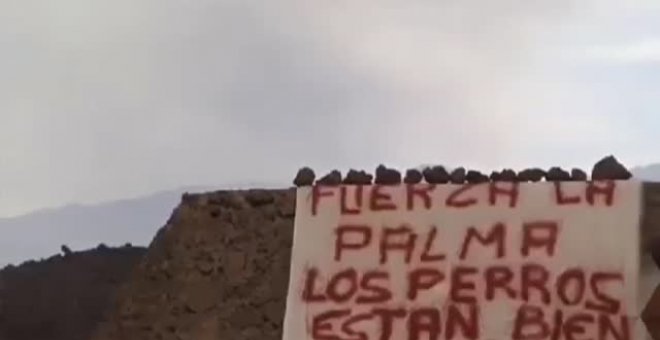 Una misteriosa pancarta en la zona donde estaban los perros demuestra que han sido rescatados por alguien