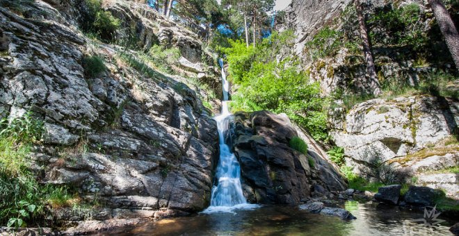 Valsaín, un bosque de leyenda