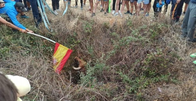 Terrible vídeo de la embestida de un toro a un caballo