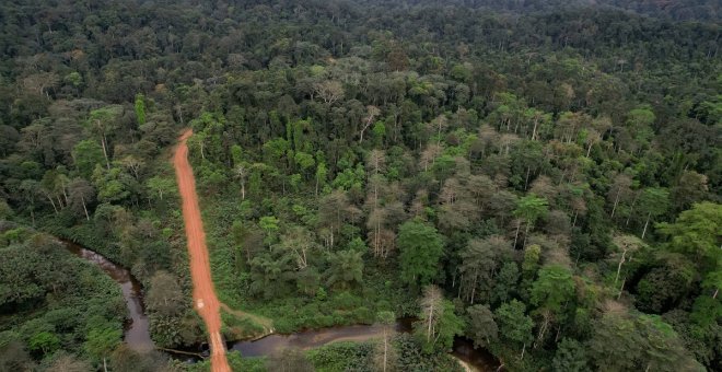 Más de cien países se comprometen a frenar la deforestación en 2030
