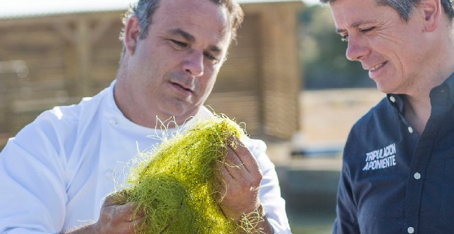 El revolucionario "cereal marino" de Ángel León gana el Premio Nacional de Innovación Gastronómica