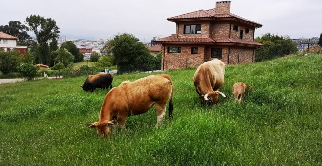 Ronda Norte, miles de viviendas en la zona rural y todo el poder para los constructores