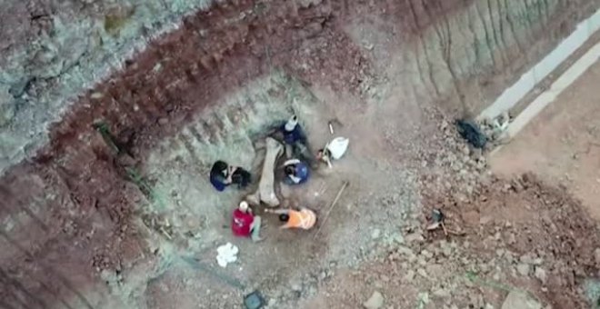 Un grupo de paleontólogos descubre en Brasil una nueva especie de dinosaurio