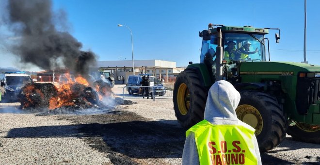 Duros enfrentamientos entre ganaderos y policías en las protestas por el precio de la leche en Talavera