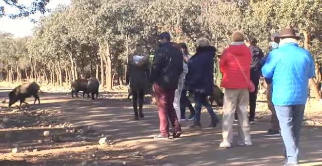 Valladolid ofrece turismo de fauna salvaje, catas y gastronomía como alternativa al sol y la playa