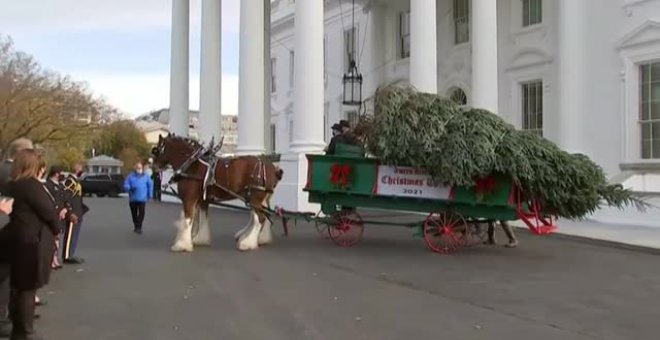 Llega a la Casa Blanca el árbol de Navidad y lo recibe la primera dama Jill Biden