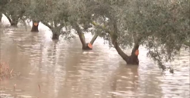 La Dana provoca inundaciones en Cataluña