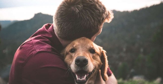 Así nos ayudan las mascotas a nivel emocional