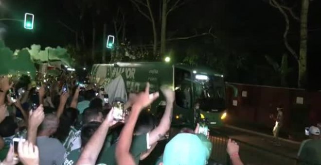 Miles de aficionados del Palmeiras celebran la segunda Copa Libertadores consecutiva