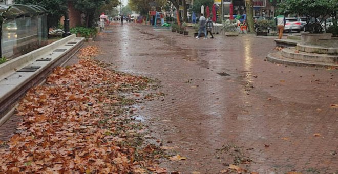 Denuncian "accidentes graves" en Santander por la "dejadez en la poda de los árboles"