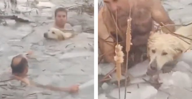 Dos guardias civiles rescatando a un perro de un lago helado: el vídeo que medio Twitter está aplaudiendo