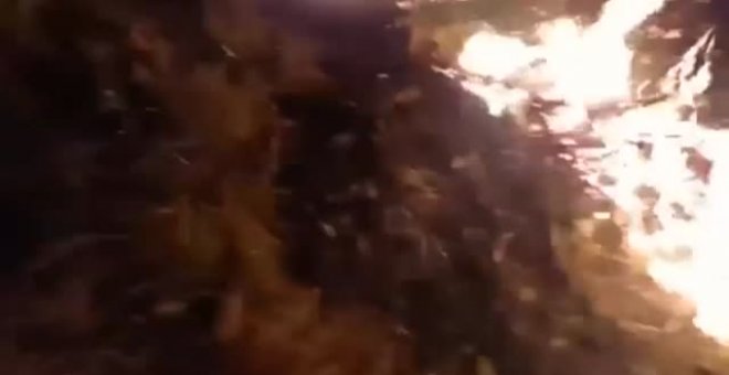 Estabilizado el incendio forestal de Gualchos, en Granada