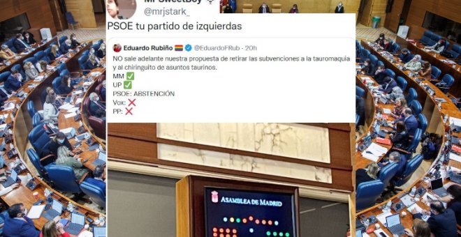 "Imagina creer en 2021 que el PSOE es de izquierdas": críticas a los socialistas por abstenerse a la retirada de subvenciones a la tauromaquia en Madrid