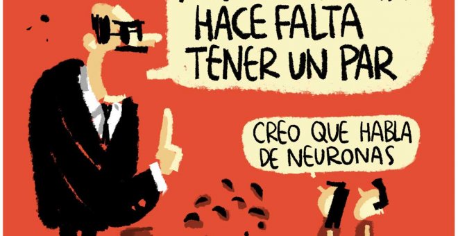 Cerebros y Neuronas