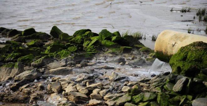 Radiografía ambiental de España: aguas contaminadas, pueblos vacíos y exceso de especies invasoras