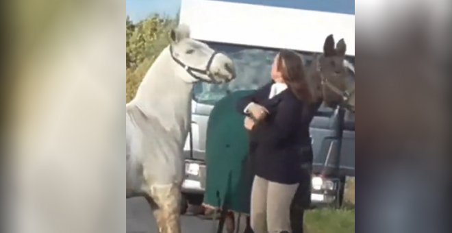 Despiden a una profesora en Reino Unido por maltratar a un caballo
