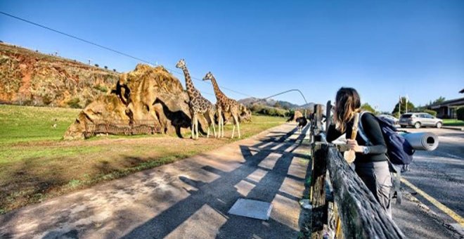 Cabárceno bate récord de visitas en diciembre con 23.124 turistas