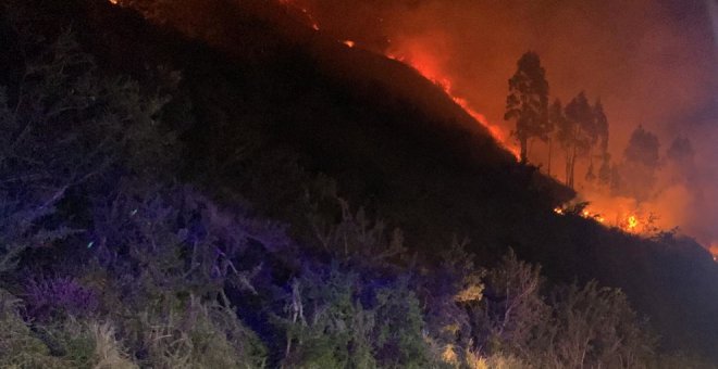 Provocan dos nuevos incendios forestales en Liérganes y Arredondo