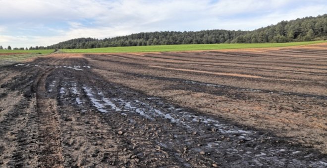 Plataformas vecinales contra la ganadería industrial de siete regiones advierten de los daños que causa este modelo