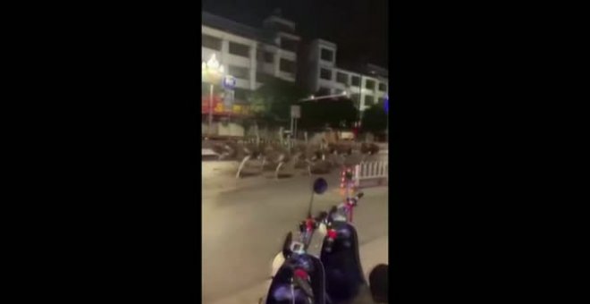 Un grupo de avestruces se escapa y recorre las calles de la ciudad china de Chongzuo