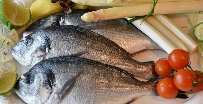 ¿Qué pescados deberíamos consumir en cada temporada?