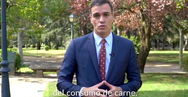 "Una hemeroteca al punto, eso es imbatible": los tuiteros recuperan un vídeo de Pedro Sánchez en 2019 hablando de ganadería sostenible