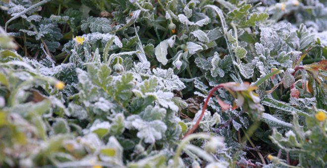 Las temperaturas caerán este jueves en algunos puntos del país hasta -7ºC