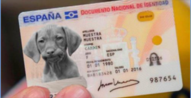 Bulocracia - El DNI de perros y gatos no ha entrado en vigor