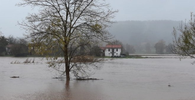 Abierto el plazo de solicitud de las ayudas para afectados por las inundaciones