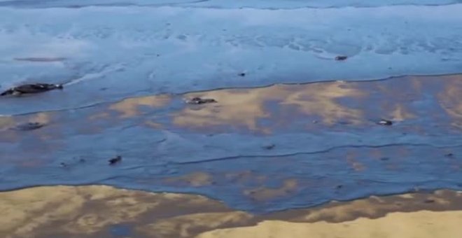 La erupción del volcán de Tonga provoca un vertido de crudo en Perú